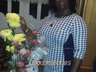 LEKKEREBOOBS