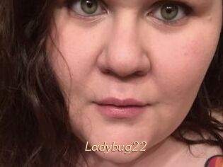 Ladybug22