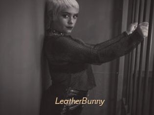 LeatherBunny