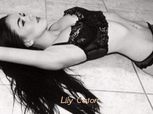 Lily_Catori