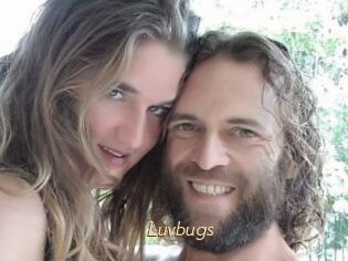 Luvbugs