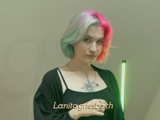Lanitagriesbach
