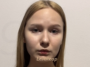 Leilaheap