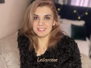 Leilarosse