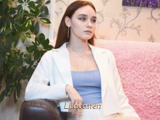Lilacatten