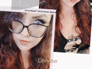 Lillihydra
