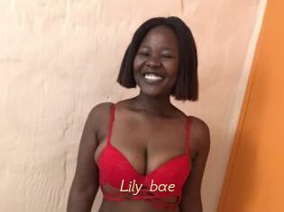 Lily_bae