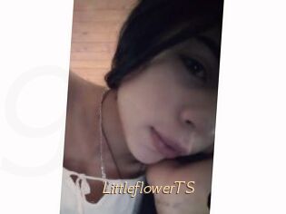 LittleflowerTS