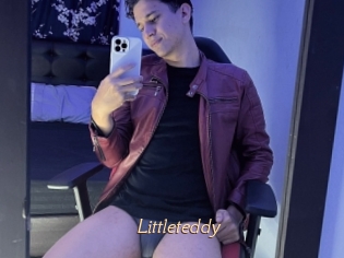 Littleteddy