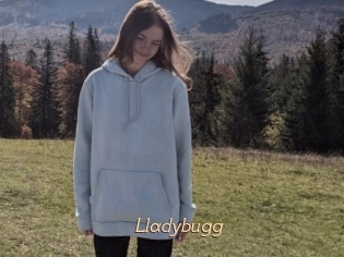 Lladybugg