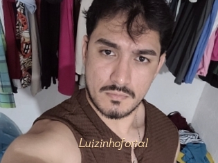 Luizinhofortal