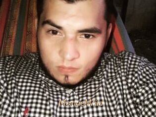 ManuelWild