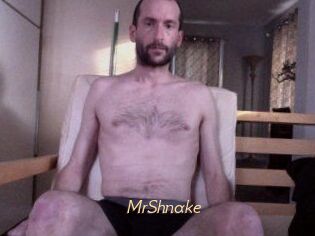 MrShnake
