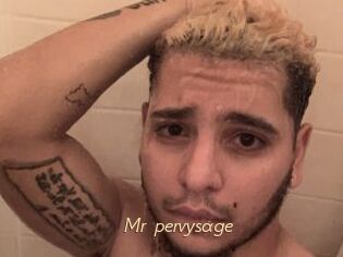 Mr_pervysage