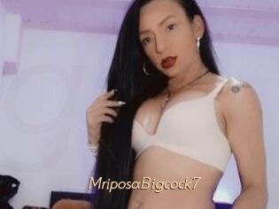 MriposaBigcock7