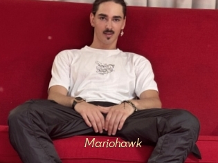 Mariohawk