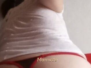 Marmotte