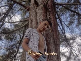 Mathew_brooks