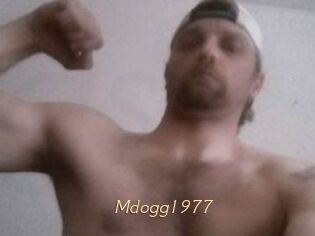 Mdogg1977