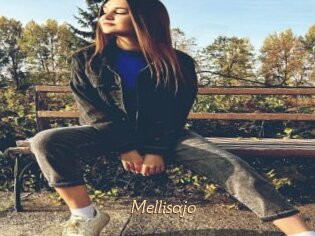 Mellisajo