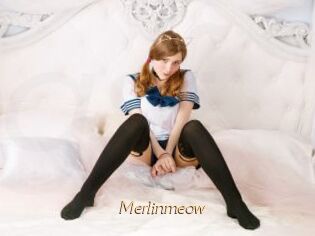 Merlinmeow
