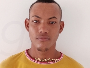 Mieldefresa