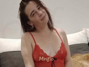 Miniflo