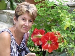 Nikoldream