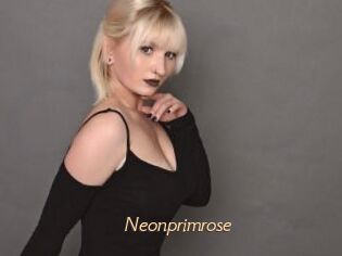 Neonprimrose