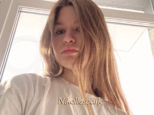 Nikollespark