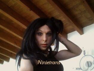 Ninietrans