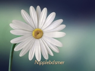 Nipplebdsmer