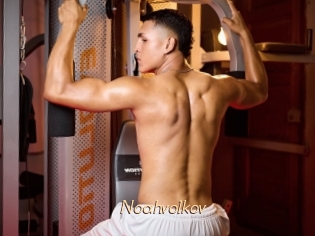 Noahvolkov