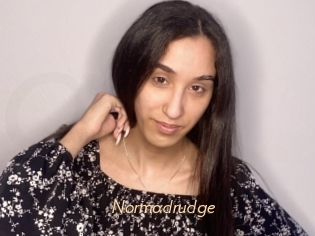 Normadrudge
