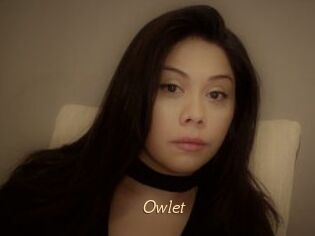 _Owlet_