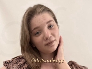 Odelindahedge