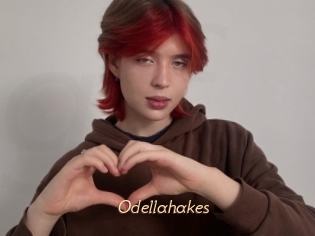 Odellahakes