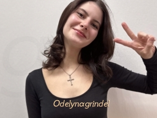 Odelynagrindel
