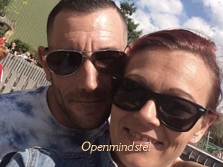 Openmindstel