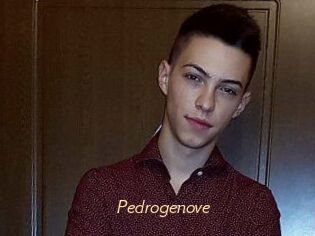 Pedrogenove