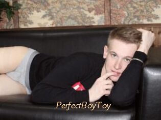 PerfectBoyToy