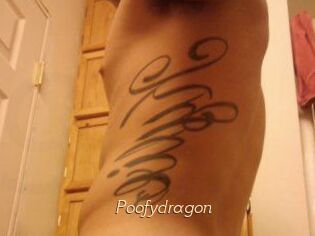 Poofydragon
