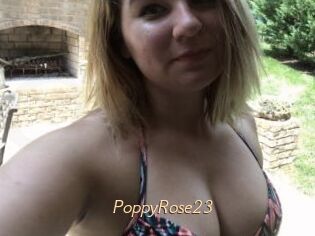 PoppyRose23