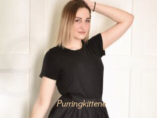 Purringkittene