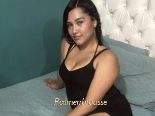 Palmerrbrousse