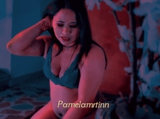 Pamelamrtinn