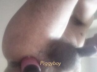 Piggyboy