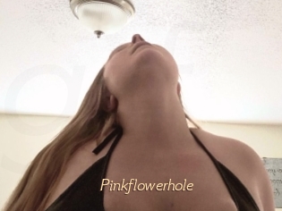 Pinkflowerhole