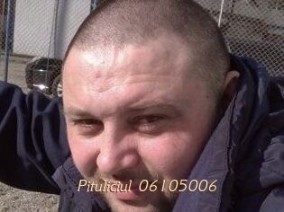 Pituliciul-06105006