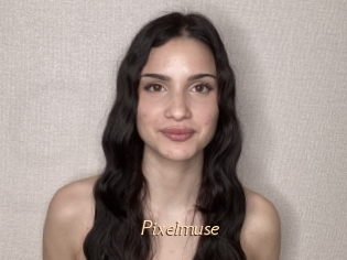 Pixelmuse